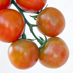 Similar image 957691