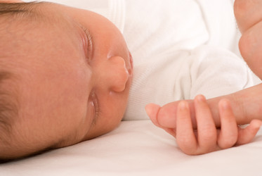 Similar image 957702