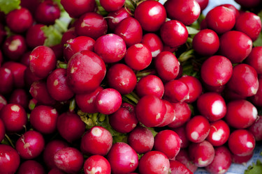 Similar image 957711