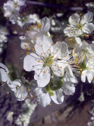 Similar image 957713