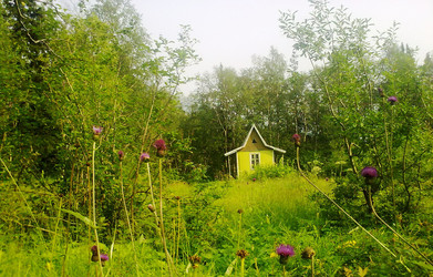 Similar image 957745