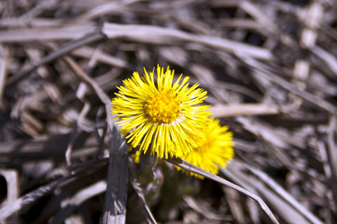 Similar image 957750