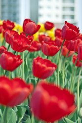 Similar image 957760