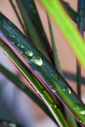 Similar image 957790