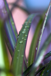 Similar image 957793