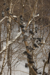 Similar image 957826