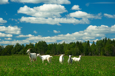 Similar image 957876