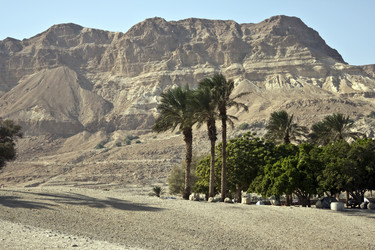 Similar image 957914