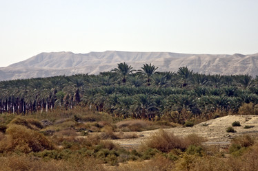 Similar image 957920