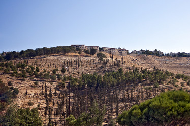 Similar image 957945