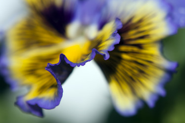 Similar image 957952