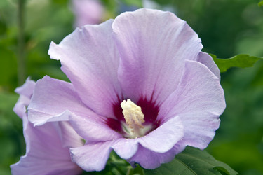 Similar image 957972