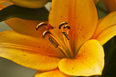 Similar image 957979