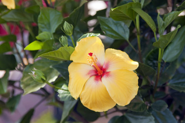 Similar image 957995