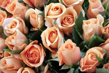 Similar image 958000