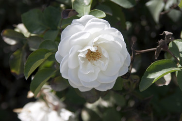 Similar image 958008