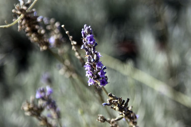 Similar image 958011