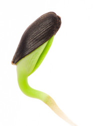 Similar image 958023