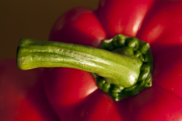 Similar image 958042