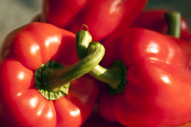 Similar image 958044