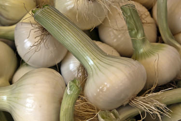 Similar image 958070