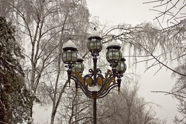 Similar image 958076