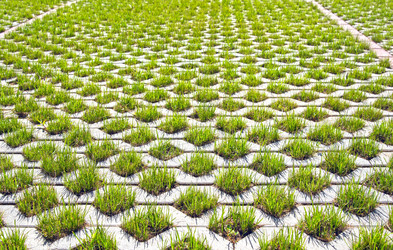 Similar image 958114