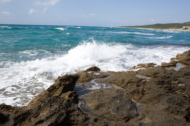 Similar image 958163