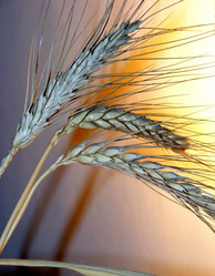 Similar image 958184