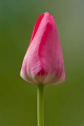 Similar image 958189