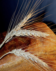 Similar image 958190