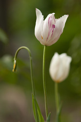 Similar image 958191