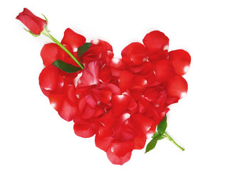 Similar image 958196