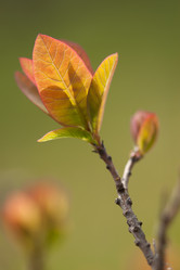 Similar image 958198