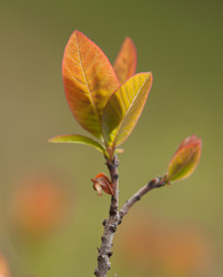 Similar image 958206