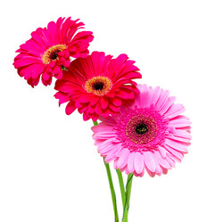 Similar image 958227