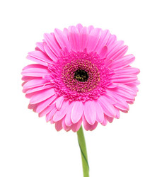 Similar image 958231