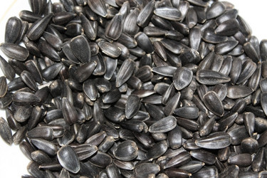 Similar image 958234