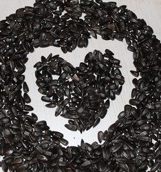 Similar image 958241