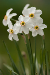 Similar image 958251