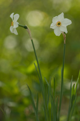 Similar image 958252