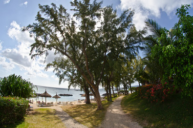 Similar image 958264