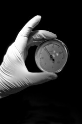 Similar image 958275