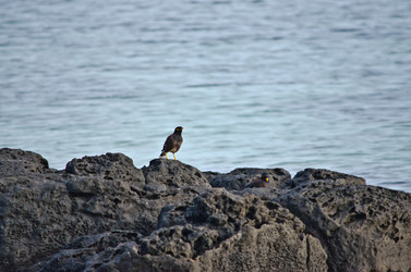 Similar image 958284