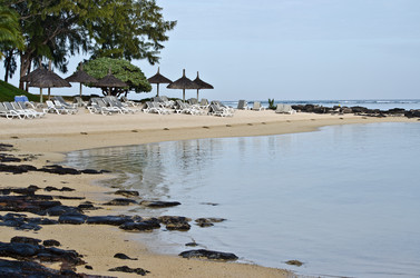 Similar image 958290