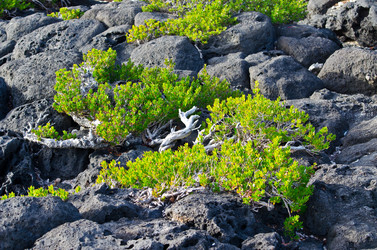 Similar image 958335