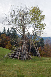 Similar image 958348