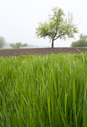 Similar image 958350