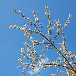 Similar image 958357