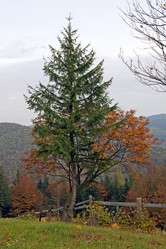 Similar image 958365